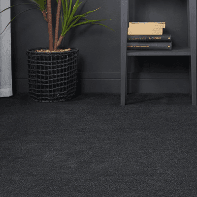 PureDefy Flooring Carpet